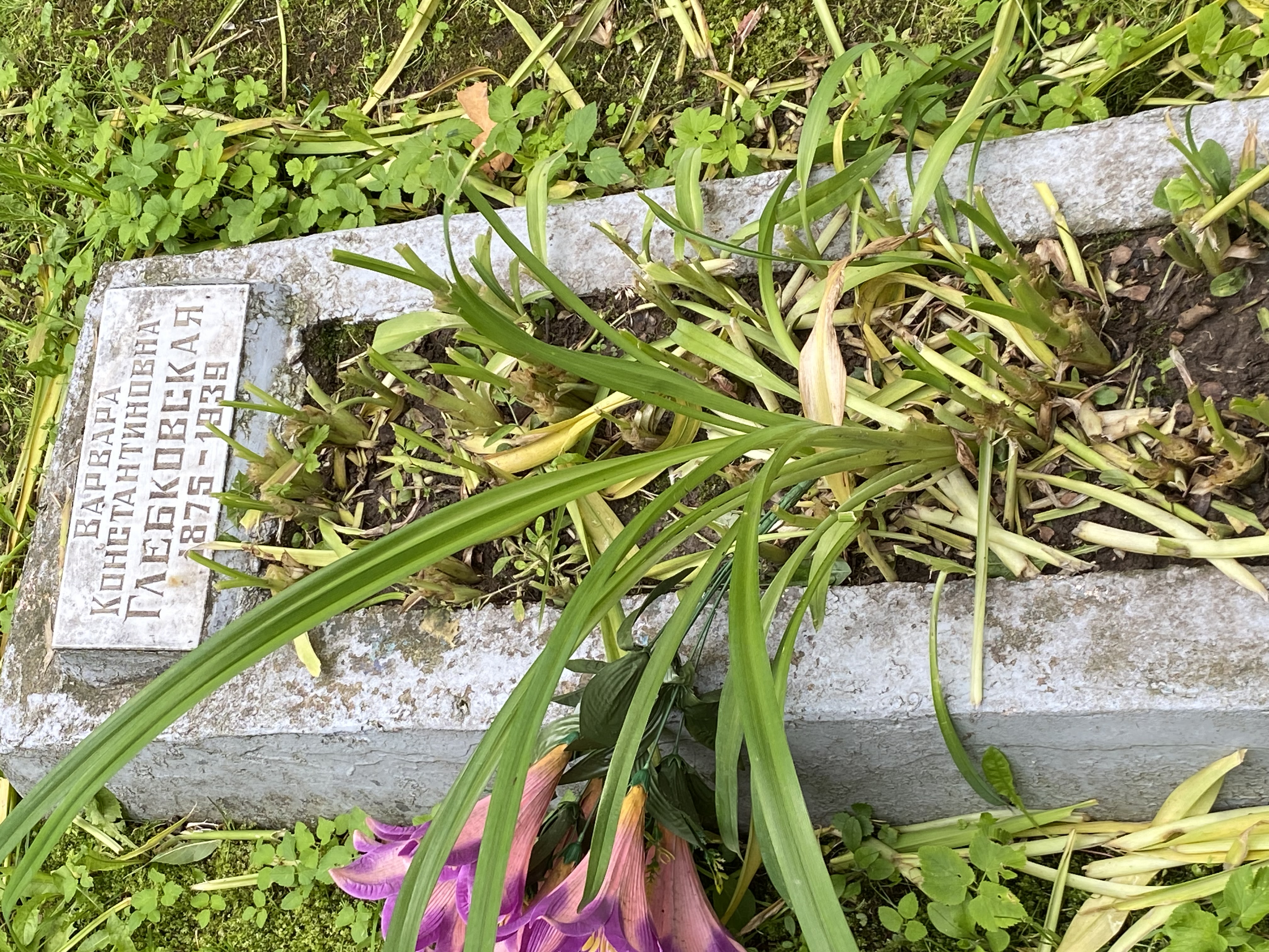 Фотография надгробия